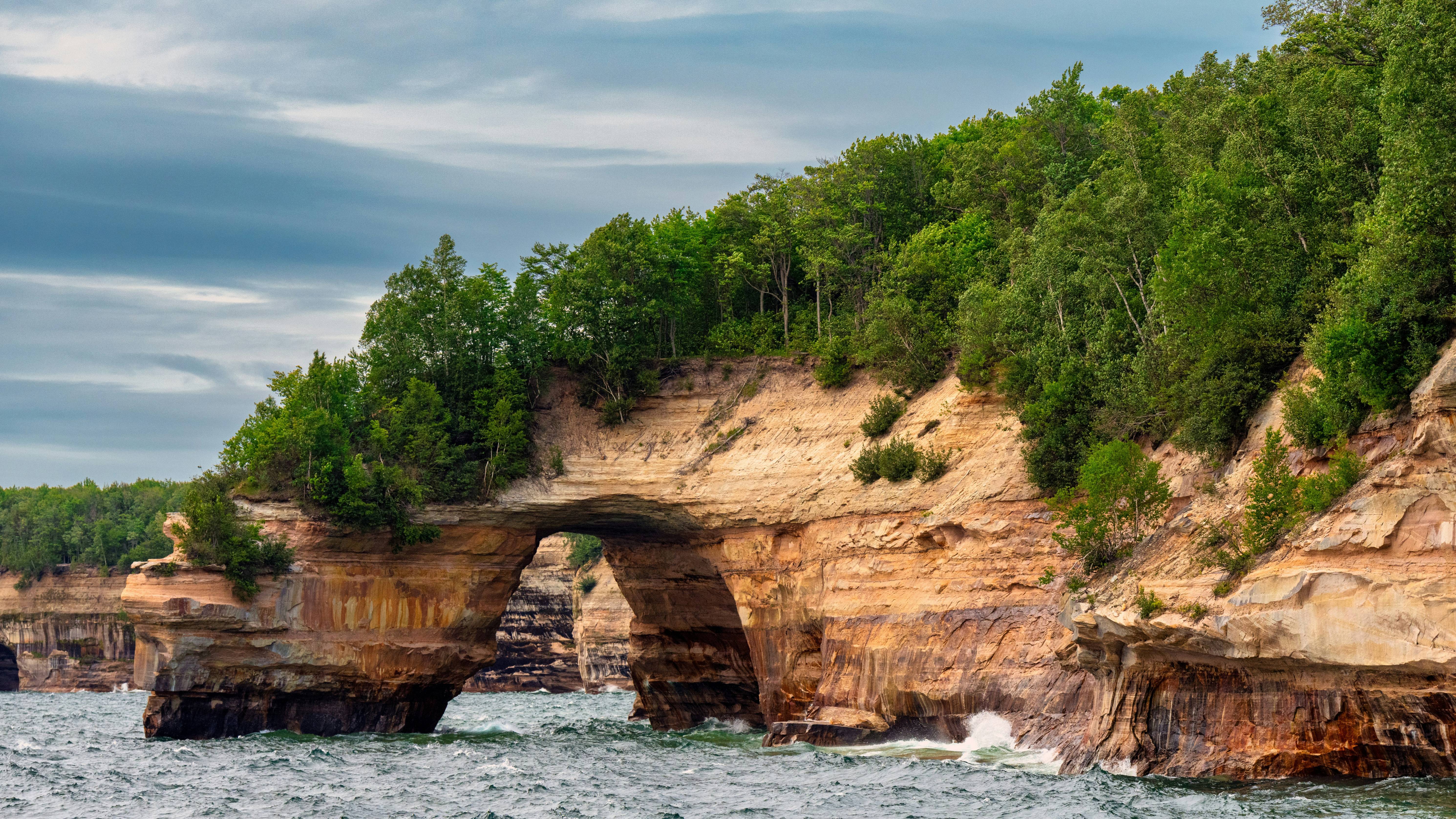 a cliff with trees on it