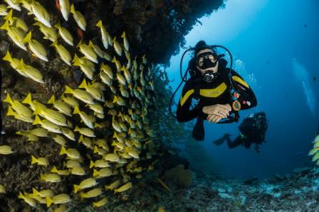 8 Most Stunning Scuba Diving Destinations Around the Globe